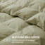 Insert de couette toutes saisons en duvet d'oie blanc avec housse de couette 100% coton 300TC, très grand californien-2050847863-2051611708