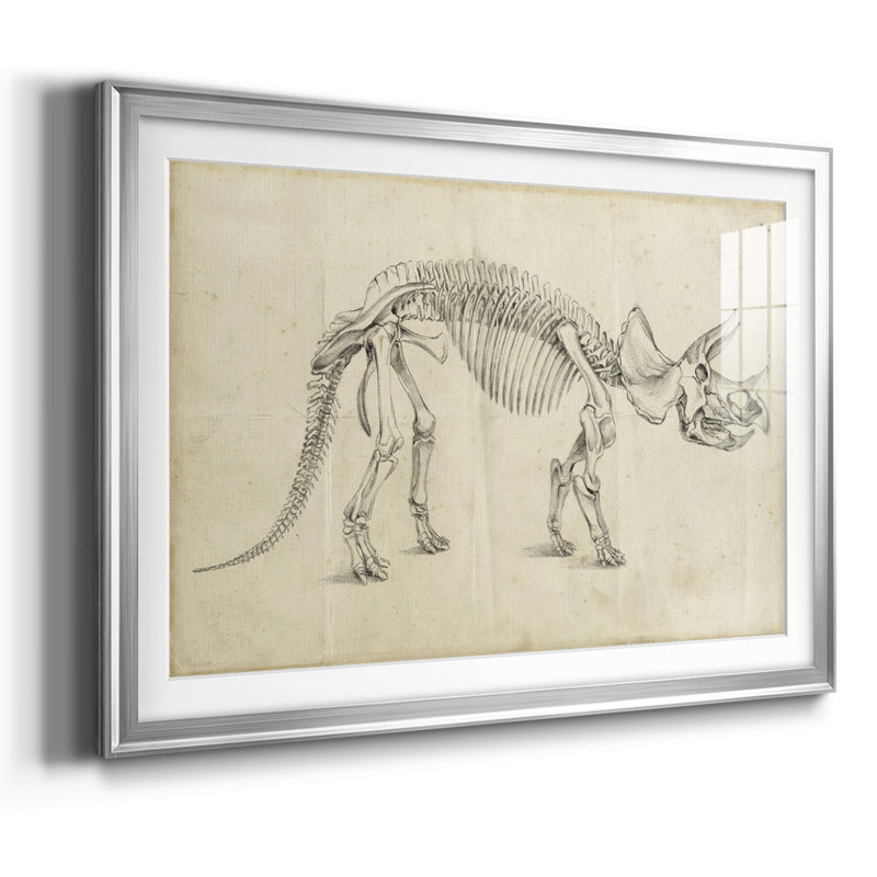 Dinosaur Study II, reproduction d'art encadrée, Argent, H 27 po x l 39 po x P 1,5 po