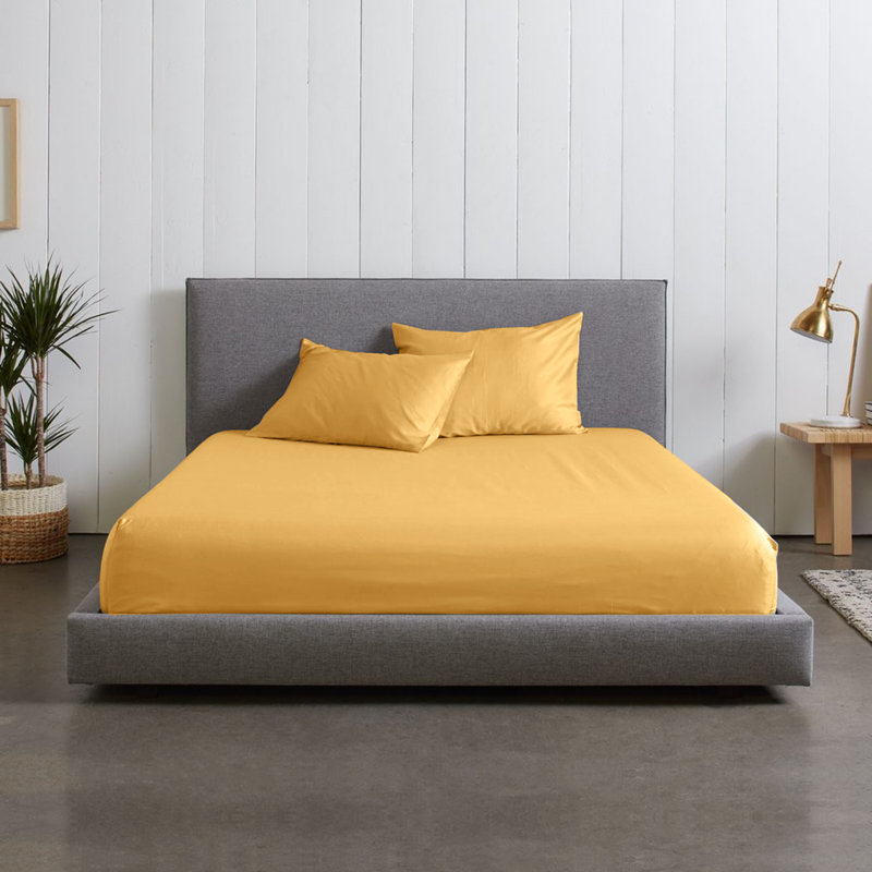 Microfiber Brushed Fitted Sheet, Ochre, Single (3')