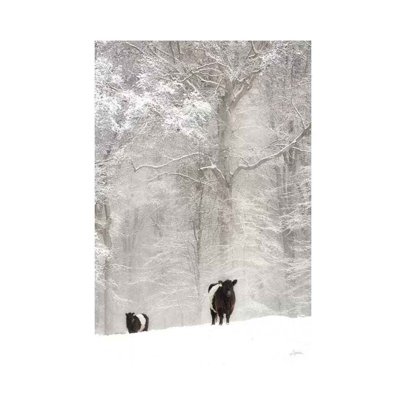 Oreos And Milk I by Aledanda - Wrapped Canvas Print, 20.32 cm H x 30.48 cm W
