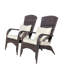 Patio Chair With Cushions( Grey Cushion)-1125353241