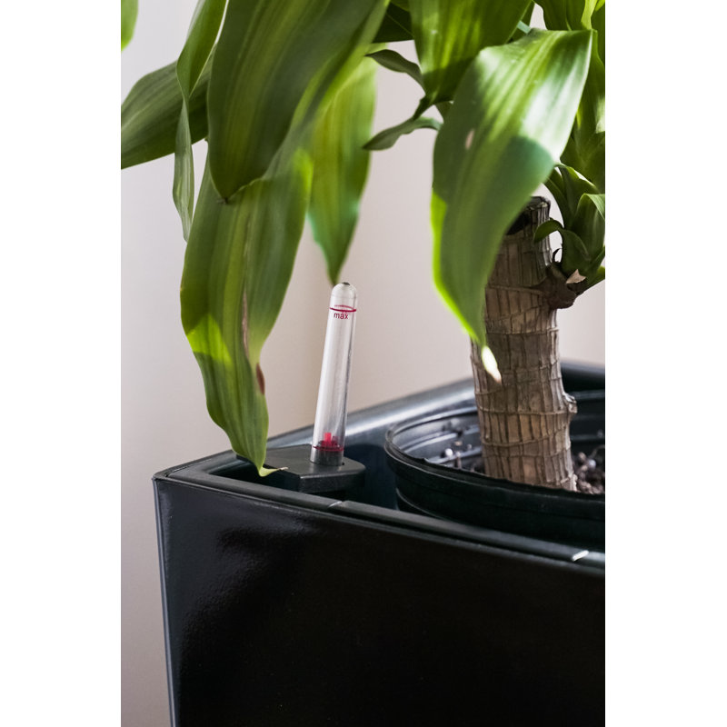 Self Watering Plastic Pot Planter, Black