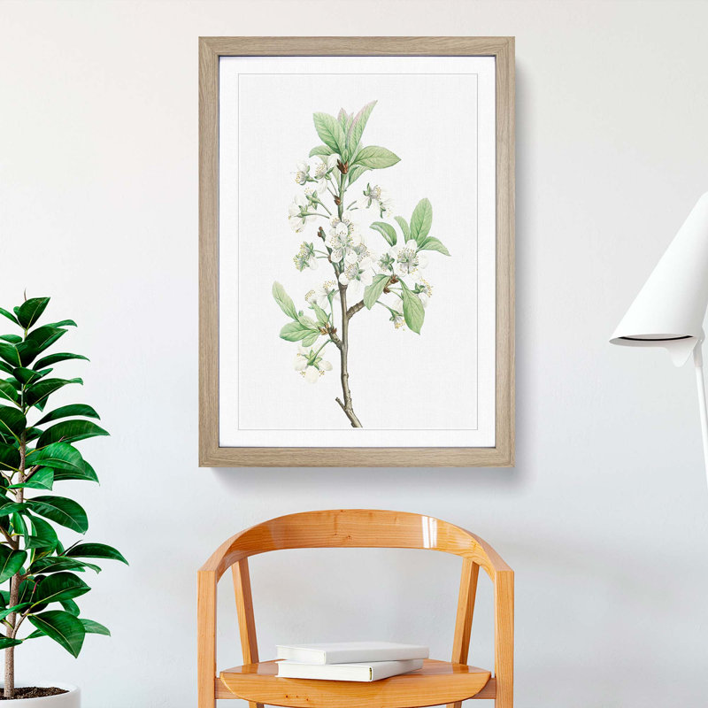 Plum Tree Flowers by Pierre-Joseph Redoute - Picture Frame Painting Print, Oak Framed, 48cm H x 36cm W x 2cm D