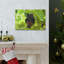 No Frame Print on Canvas-1381344524