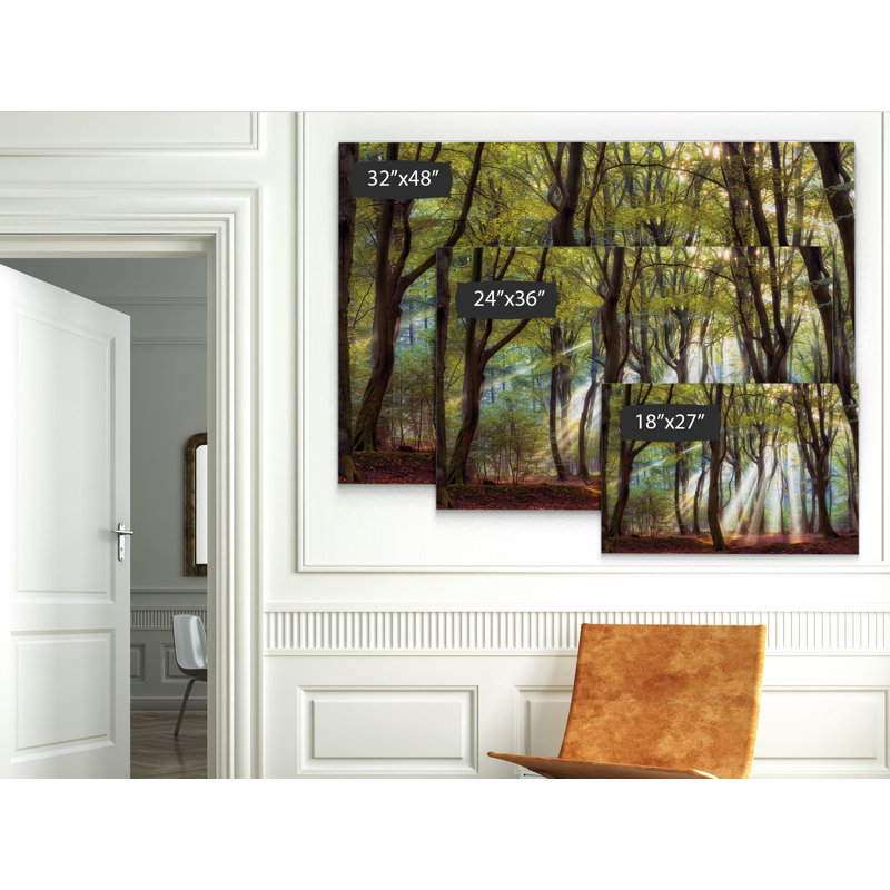 Majestic Morning - impression, H 24 po x l 36 po x P 1,5 po, Toile tendue