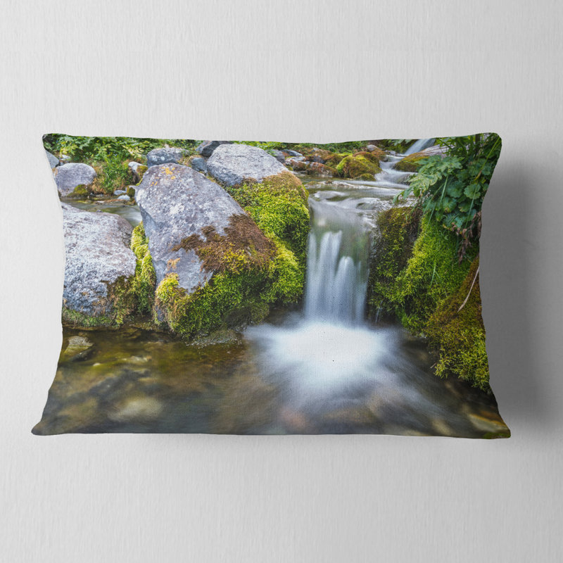 Coussin décoratif Schafer