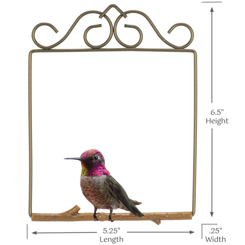 Millette Original Hummingbird Swing, Bronze