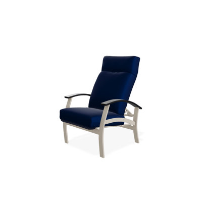 Askar Powder Coated Aluminum Outdoor Lounge Chair , Sunbrella® Cushions Included
