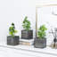 3 - Piece Artificial Evergreen Plant in Wood Pot Set