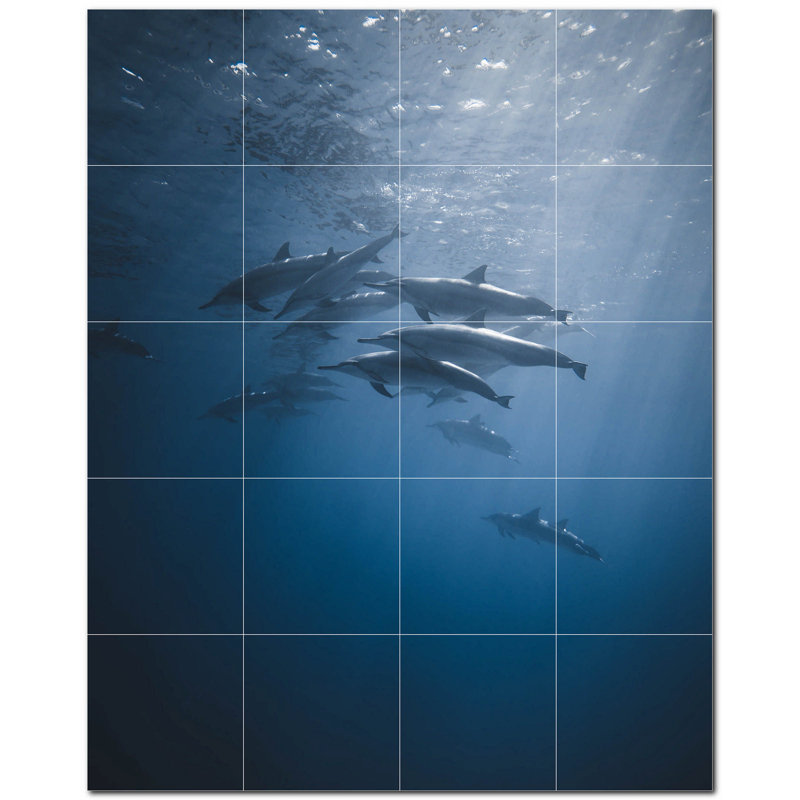 Murale décorative en céramique 12 "x 12" Dolphin Photo