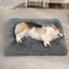 Coussin de siège pour animal de compagnie-863325966-863325963