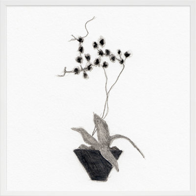 Orchid Study 2 Print by Simon Schneiderman