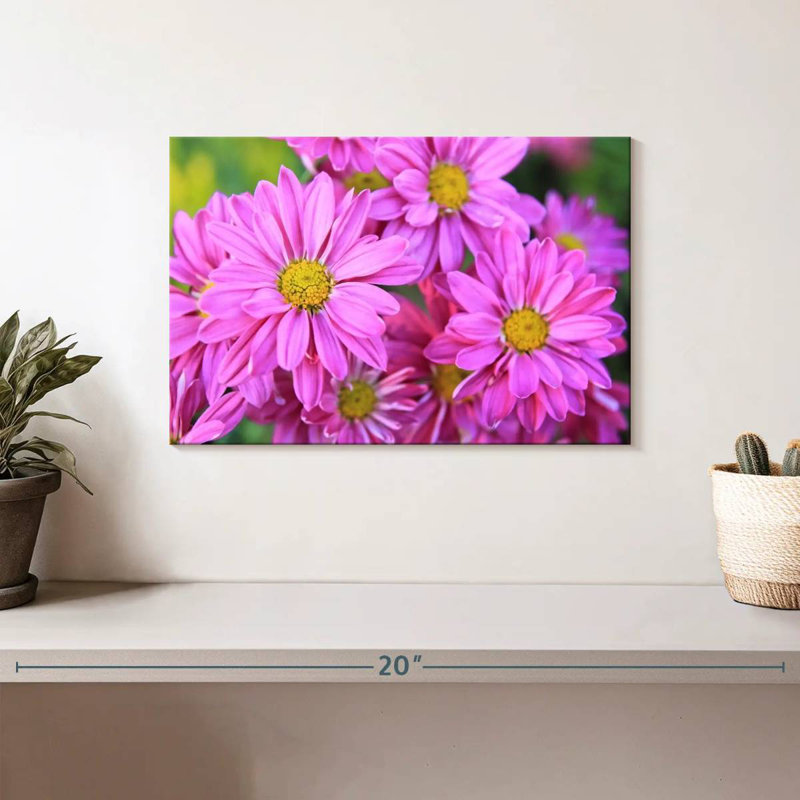 Jardin de fleurs roses Harnek, H 8 po x l 12 po