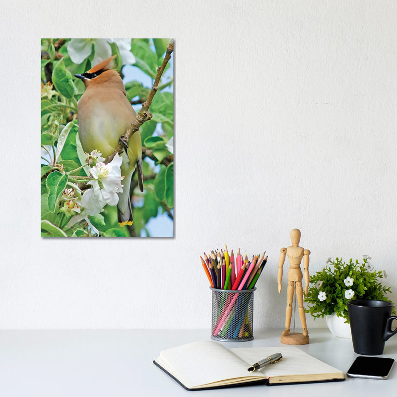 Spring Waxwing 1 Piece Wrapped Canvas Wall Art