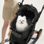 Foldable Pet Vehicle Travel Carrier-1225364166