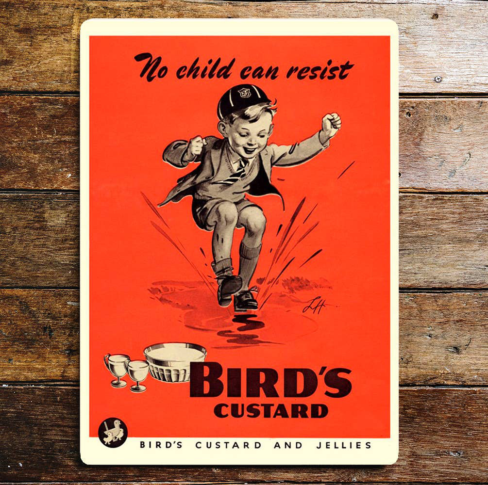 Birds Custard No Child Can Resist Puddle - Metal Sign