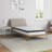 Wayfair Sleep 8" Medium Euro Top Innerspring Mattress-1780934713