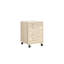 Eggen 4 Drawer Filing Cabinet-676558591