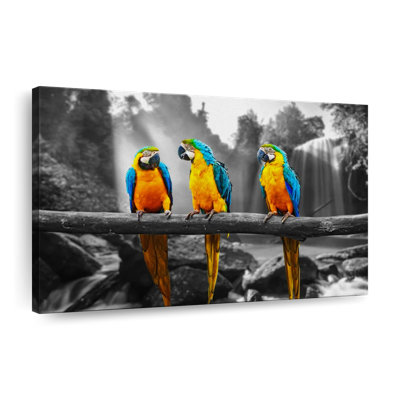 Macaw Friends Pop Canvas Print