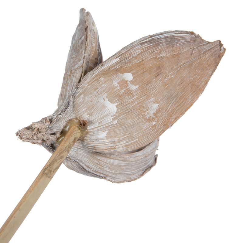 Sora Pod attaché à une tige de bois, séché 16 po Sora Pod attaché à une tige de bois, séché, Blanc délavé