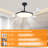 42" Retractable Ceiling Fan With Light And Remote, Quiet DC Motor Modern Ceiling Fan-2031645468