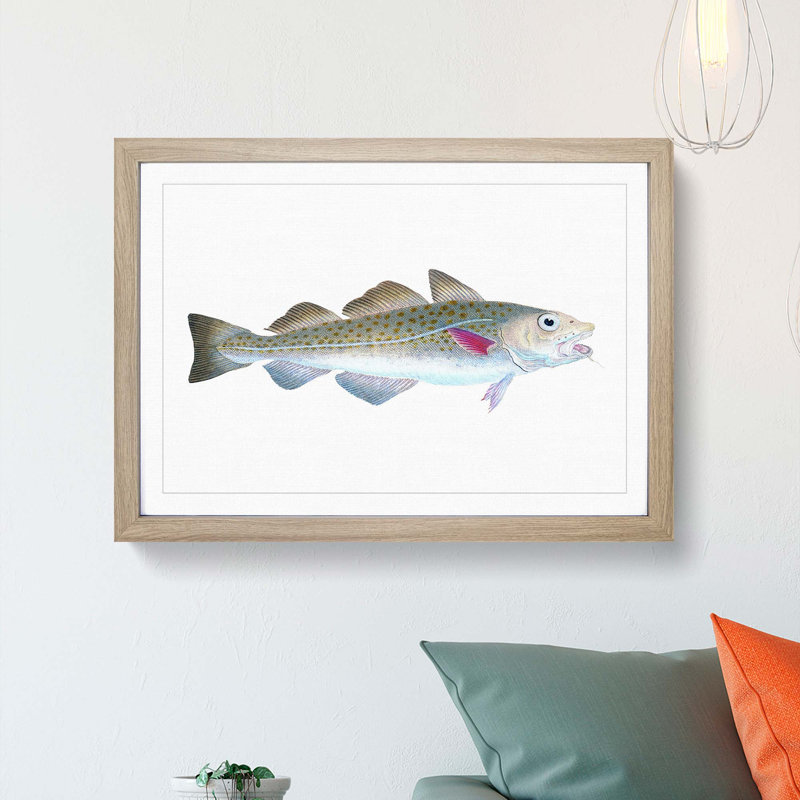 Atlantic Cod Fish by Edward Donovan - Single Picture Frame Painting, Oak Framed, 33cm H x 45cm W x 2cm D