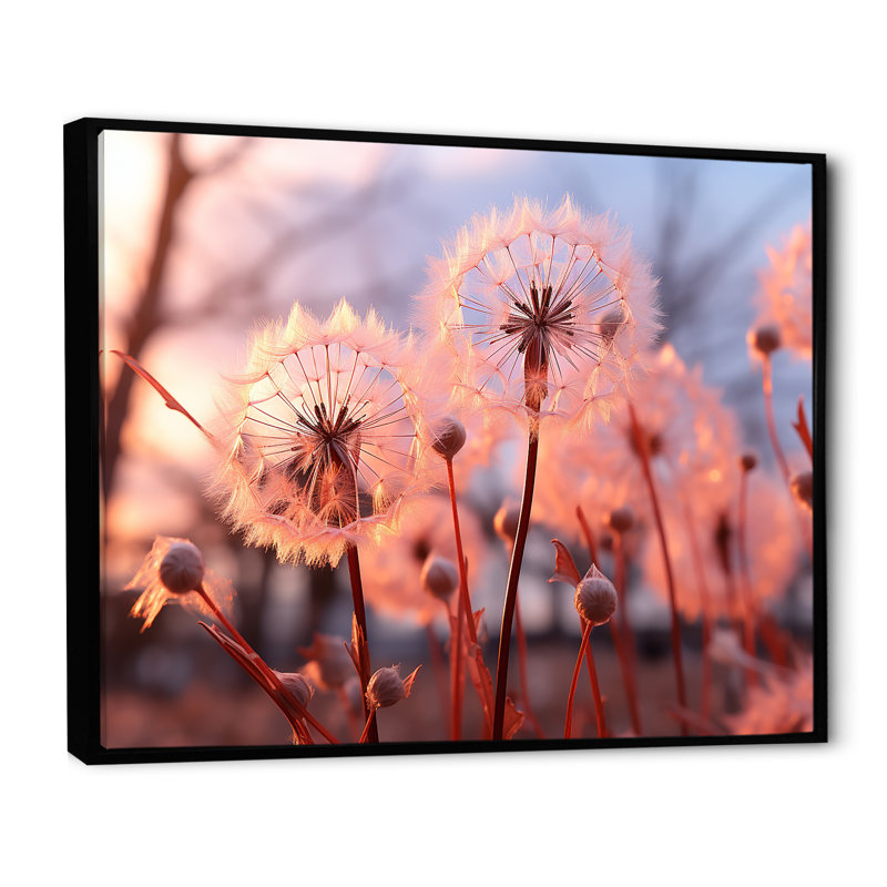 «Delicate Calm Dandelion Serenity II - Autre plante et fleurs», art mural, Cadre flottant noir, H 34 po x l 44 po x P 1,5 po