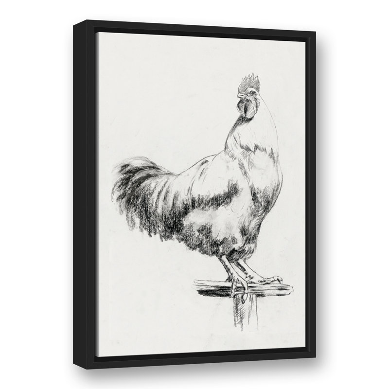 « campagne coq sketch », reproduction d’art sur toile, H 24 po x l 16 po, Toile tendue
