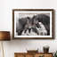 Chevaux sauvages - Photographie avec cadre photo-2049960918-2049960919