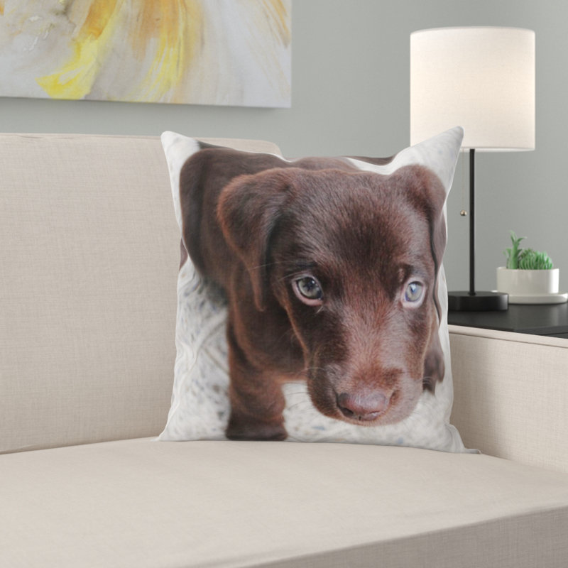 Coussin chiot