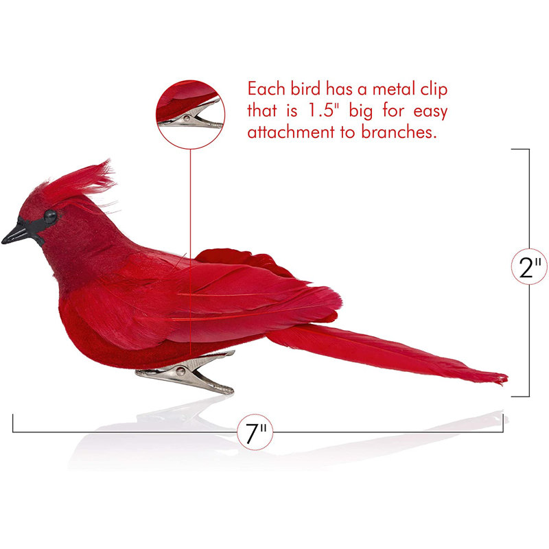 Pince Cardinal