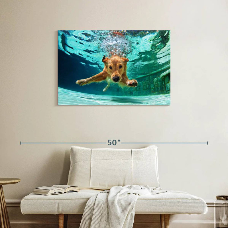 Golden Retriever Diving, 24" H x 36" W