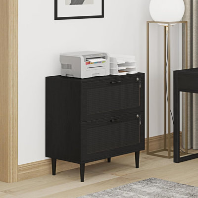 Black 2-Drawer Lateral File Cabinet - Lockable Rattan Wood Filing Organization Cabinet For Home Office by 17 Stories