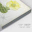 Antique Cactus I - impression sur toile tendue-449653780