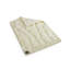 Winter Duvet-36304855