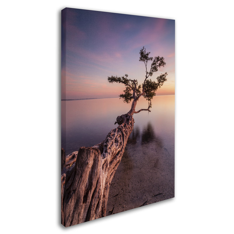 Moises Levy Water Tree IV Black and White Canvas Print