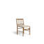 Daffodil Dining Chair-1657149375