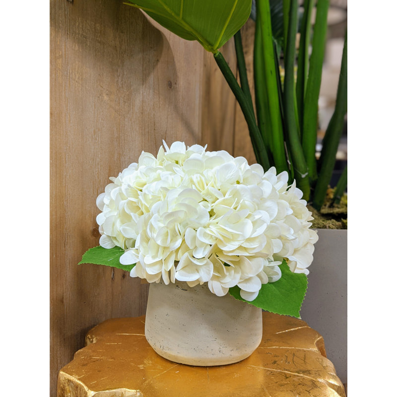 Hydrangea Floral Arrangement in Pot