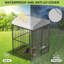 Dog House
