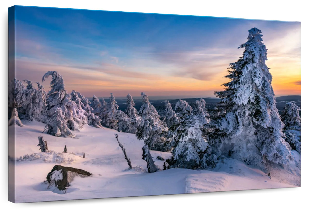 Millwood Pines Alvord Winter In Wernigerode Photography | Wayfair