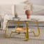 Table basse en métal en verre trempé double couche-1726707626