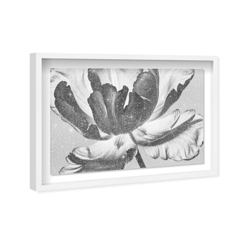 Full Bloom Framed Graphic Art, 11.5" H x 16.5" W, White Shadowbox