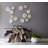 Compactum Succulent Wall Art-64430351
