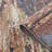 Jordan Delia Abstract Indoor Rug-79246185