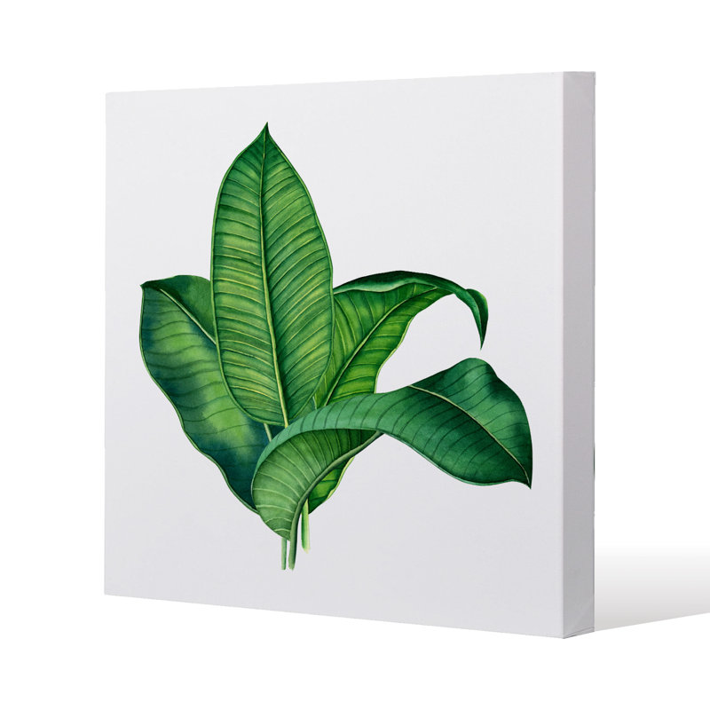 No Title by Andrew Lee - Wrapped Canvas Print
