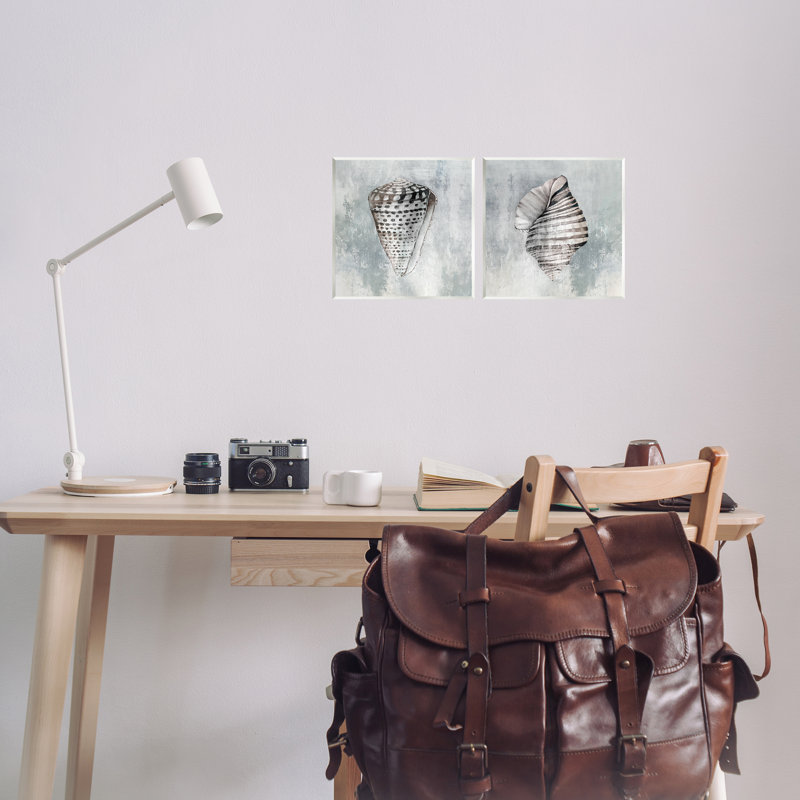  Ensemble de plaques murales «Grey Cowrie» par Eli Jones