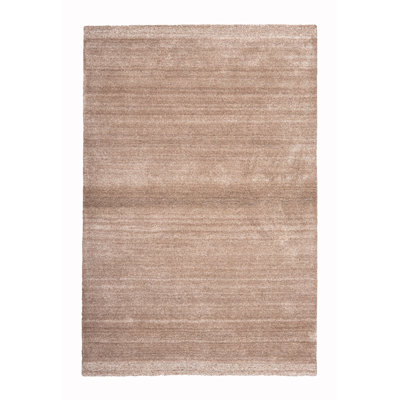 Brieah Hand Woven Area Rug