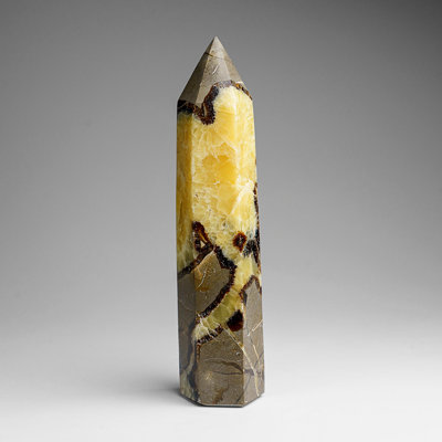 Genuine Polished Septarian Point From Madagascar (1.1 Lbs)