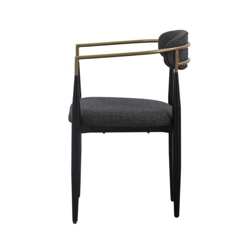 Waldo Ayliana Fabric Arm Chair Dining Chair, Dark Gray