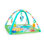 Wild Wiggles FoldAway Activity Gym